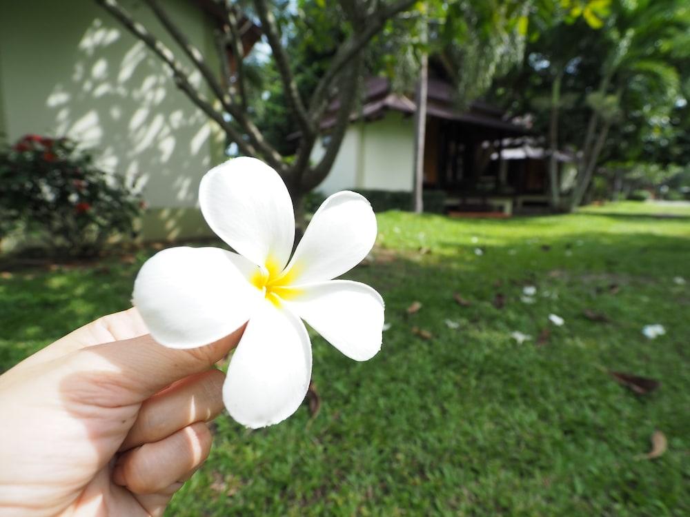 Baan Pun Sook Resort Чао-Лао-Бич Экстерьер фото