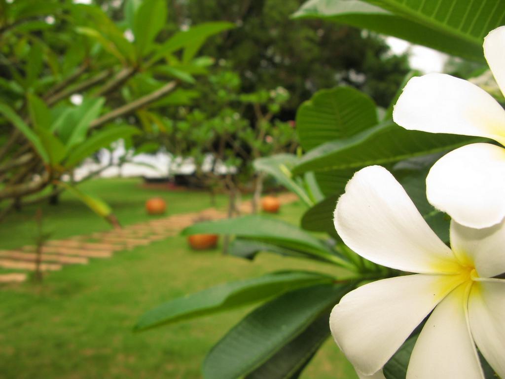 Baan Pun Sook Resort Чао-Лао-Бич Экстерьер фото